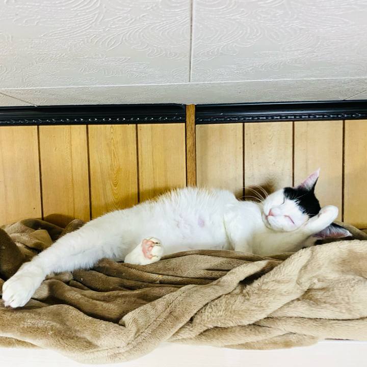 D7cdebac f6bd 4882 8377 d44f852bffdb 1678200338154