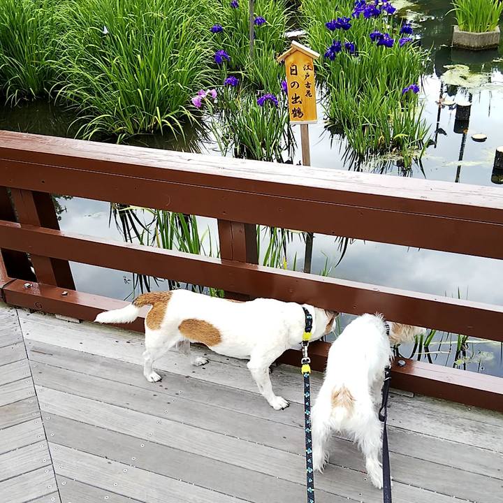 D7ce13ea 3242 4551 bf50 66ca860334c3 1560661818105