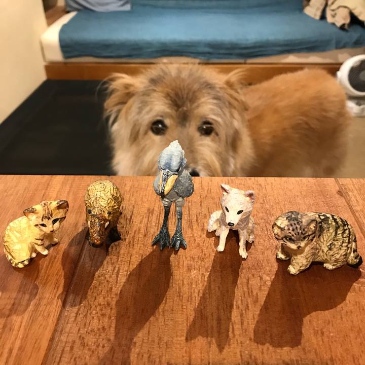 D7ce16eb ac42 4af1 813c dba70bc20744 1633103798232