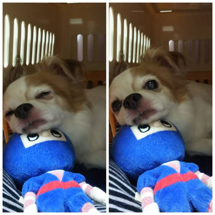 D7ce3e7a 0f25 4aaf b265 e0a8c82a2c6c 1597322757194