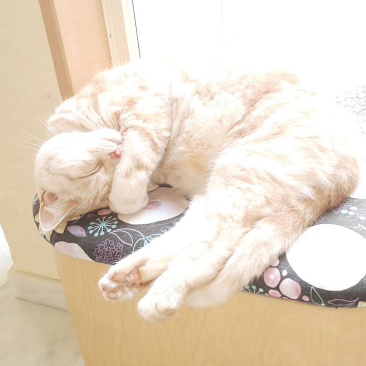 D7ce564c e48e 414c bff6 c7dde4da001b 1539145460613