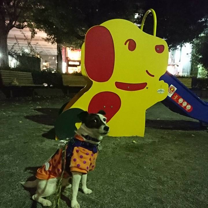 D7ce57f1 084f 4dc4 8333 215ab17f2b28 1509105580659