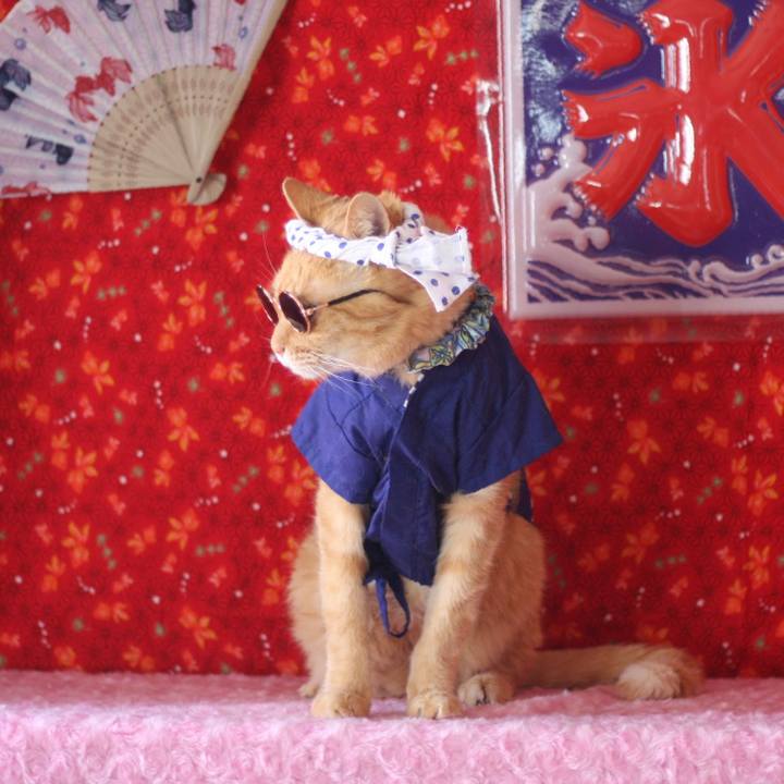 D7ce62c5 c6ca 4e31 b2de 906890e574f2 1722232401402