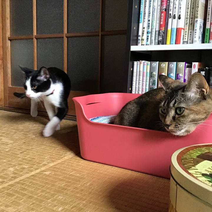 D7ce6ca1 835e 4bf0 9f8f 3f85a4743846 1628396139260