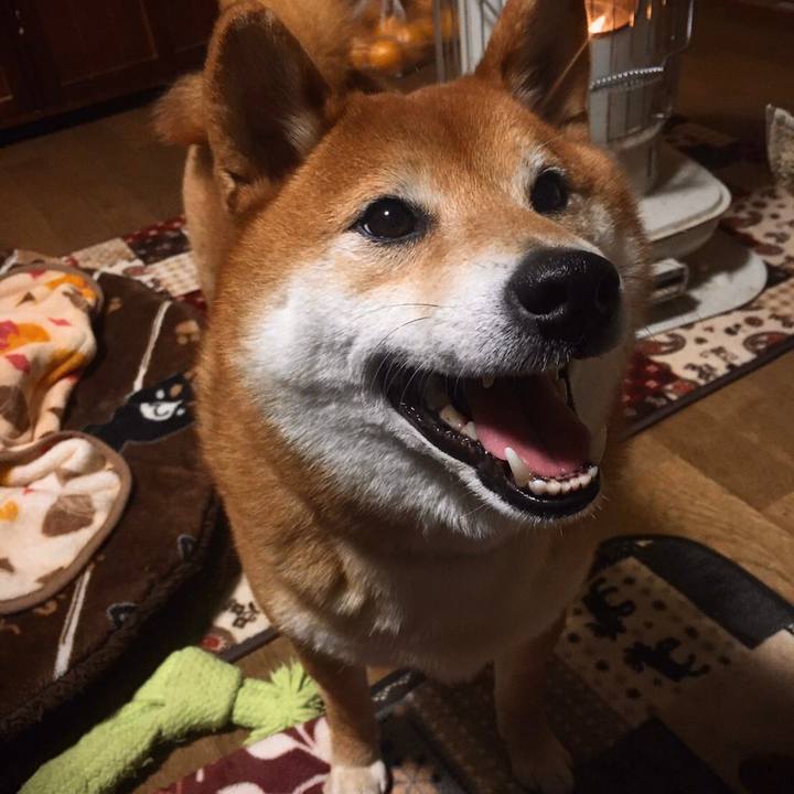 D7ceb2c8 795e 42a2 8ca8 a483074885a2 1582600808383