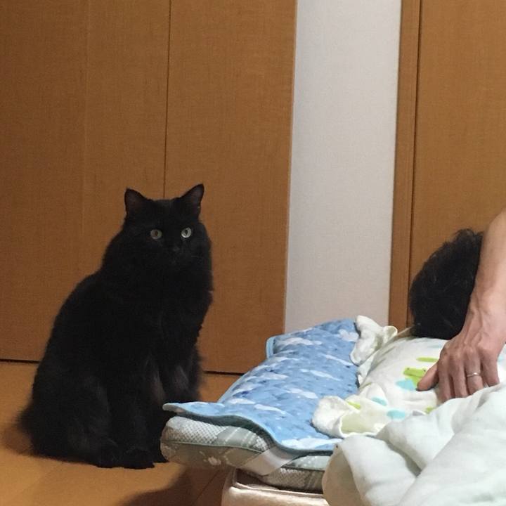 D7ceb7d7 8ff0 4986 868f 484a18c78ec9 1536410093585