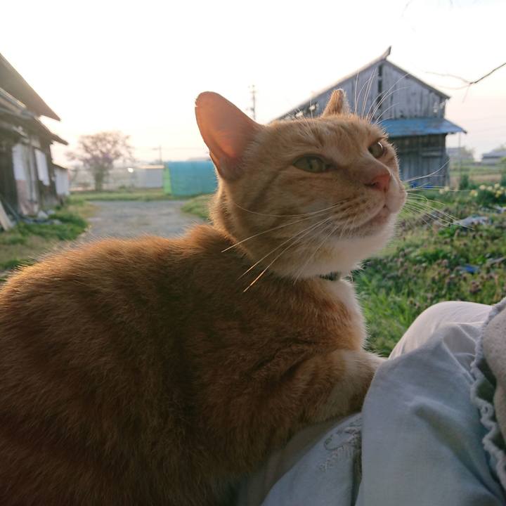 D7cefa15 4299 4be5 b5f9 ac9d3ed13275 1588453183068