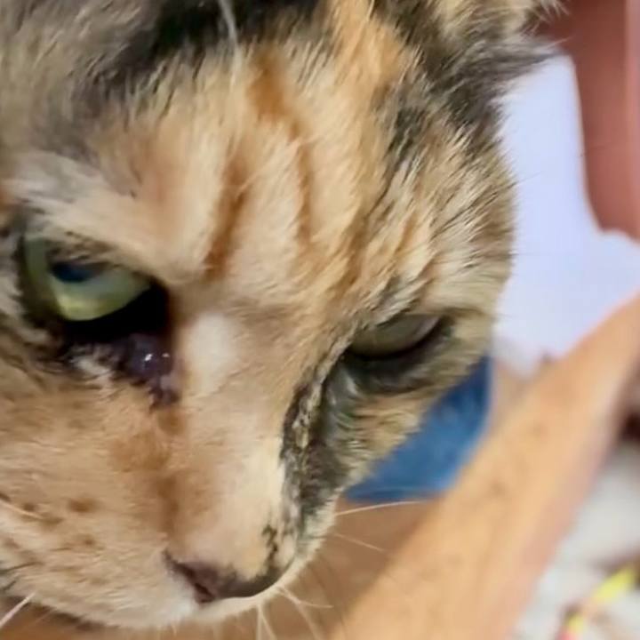 D7cf6654 8c2e 47c1 b45e 4d77738f7cf3 1775445043492