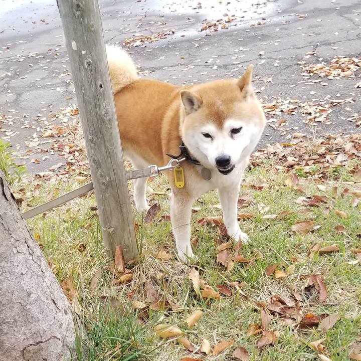 D7cf91bc 2fa4 4d03 8f0e fbe72ed89716 1635917940563