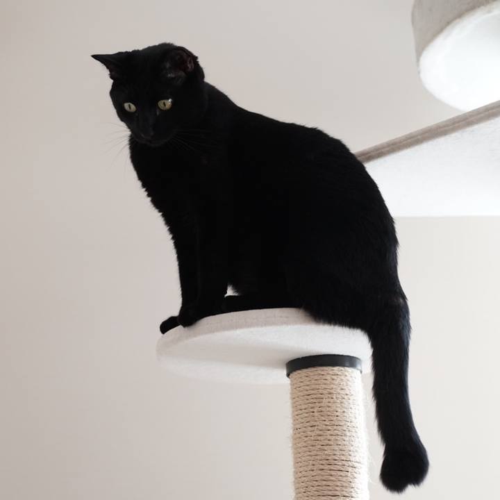 D7cfe830 a949 4c92 b85c f8bef7d82c34 1531266381225