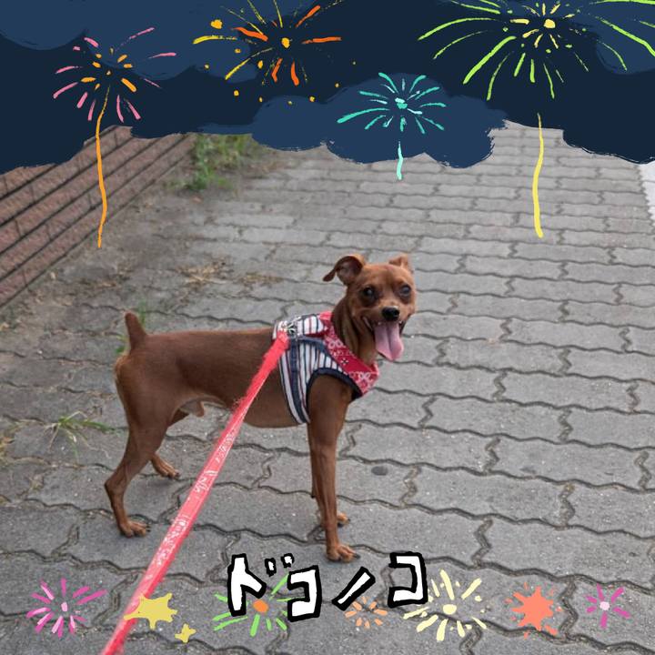 D7cff099 f3b1 4bae 8633 c8f7926f712a 1723455325223