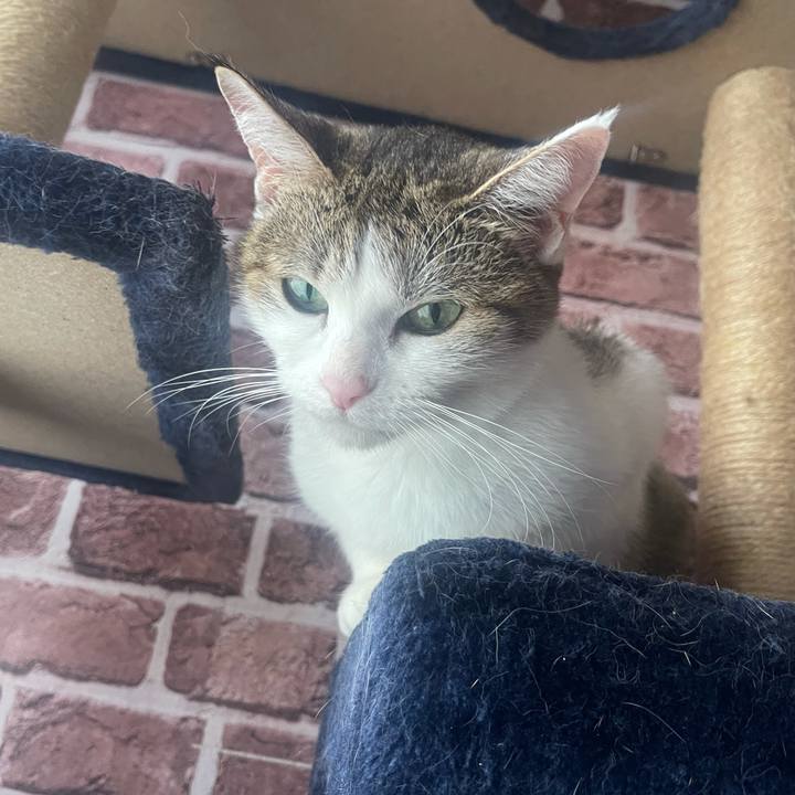 D7cff348 0f89 4e0d a500 d41a0fef7046 1633589815011