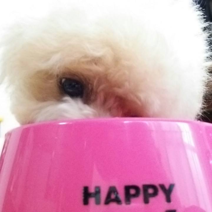 D7d003bb b289 49cc 85ae f794afee2ddc 1536739754831