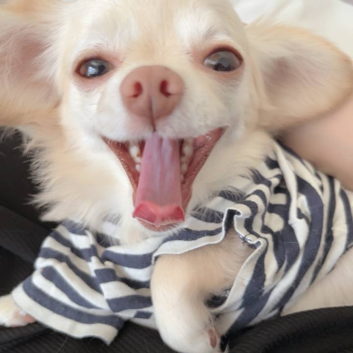 D7d0c360 0933 470c b665 499795050a17 1727574760453