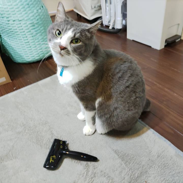 D7d0c5b5 7275 4dac 8bd6 0e2df975ca98 1708934814256