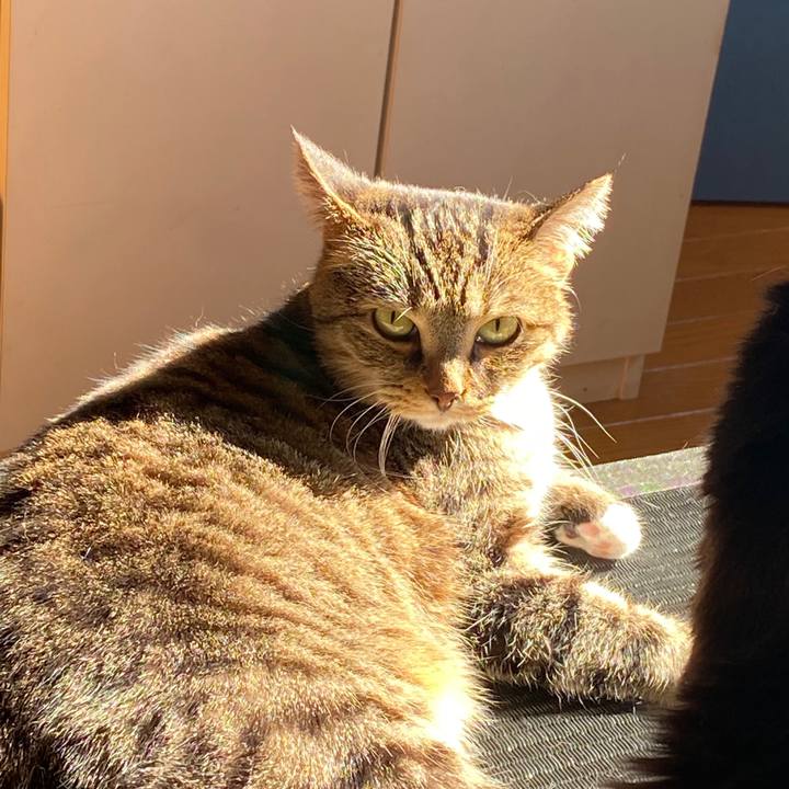 D7d0d074 0a37 4809 a84d 3e2b98c0a67b 1579487881136