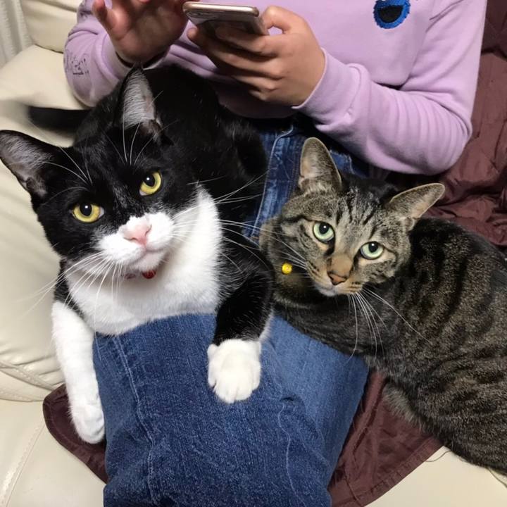 D7d0d4ae 6ef3 4a8c b583 02967d4a4379 1587527980216