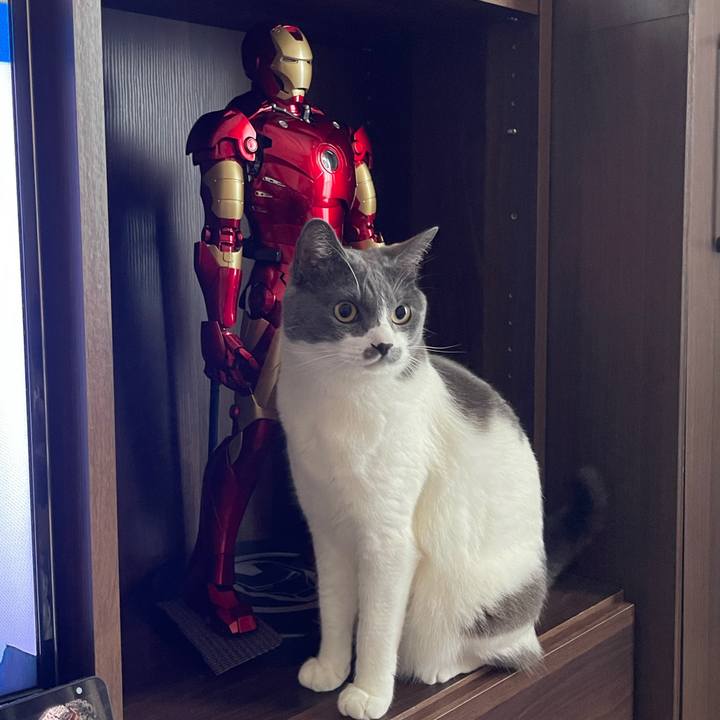 D7d105c6 d4a3 4059 9a7f df09486a2394 1659340307789