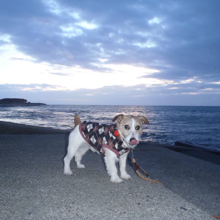 D7d13fa3 210c 479b 9f48 2ac2c62d05e1 1514637142079