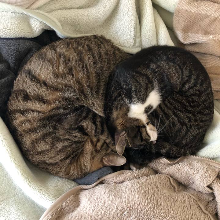 D7d14840 78f5 45e2 a0bd f05ff7fe4de1 1523679520465