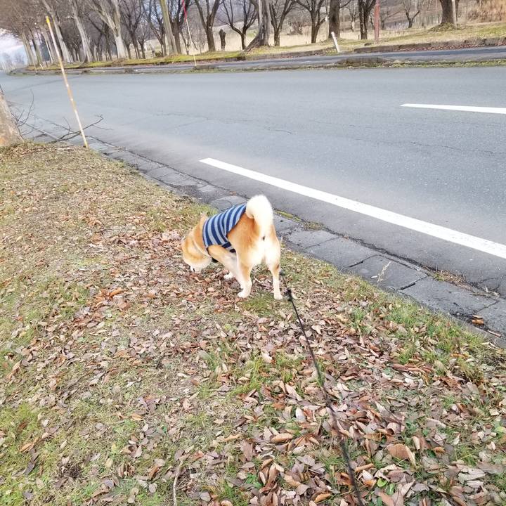 D7d1536e ec49 4132 86e2 8cd4c2776b9d 1639207637135