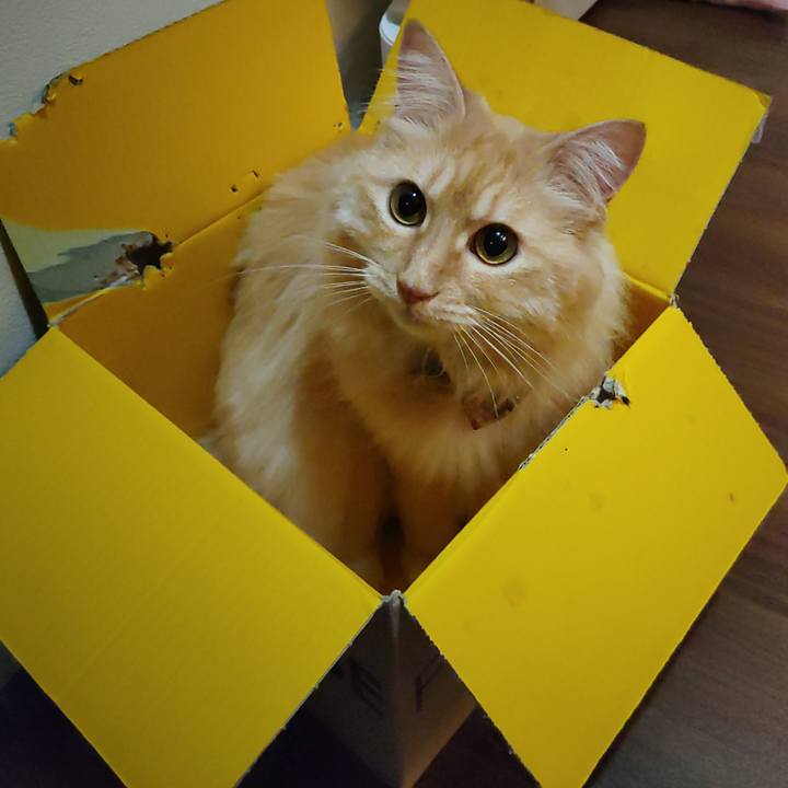 D7d170e0 8186 4d8f ab9a aae45c44e9a9 1687699833241