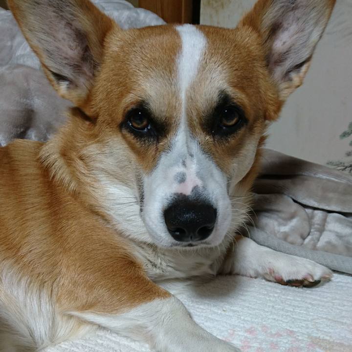 D7d20874 f425 45d8 a8e3 b262e5689046 1579212114966