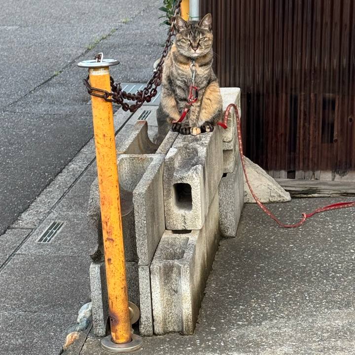 D7d21af3 5036 49e0 8f7a 81f5a36dd973 1750995086107