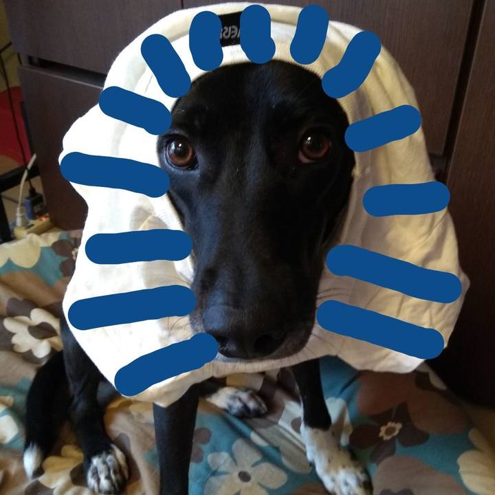 D7d22a09 4f00 4eae a457 44ad6d0b0ec8 1606523666806