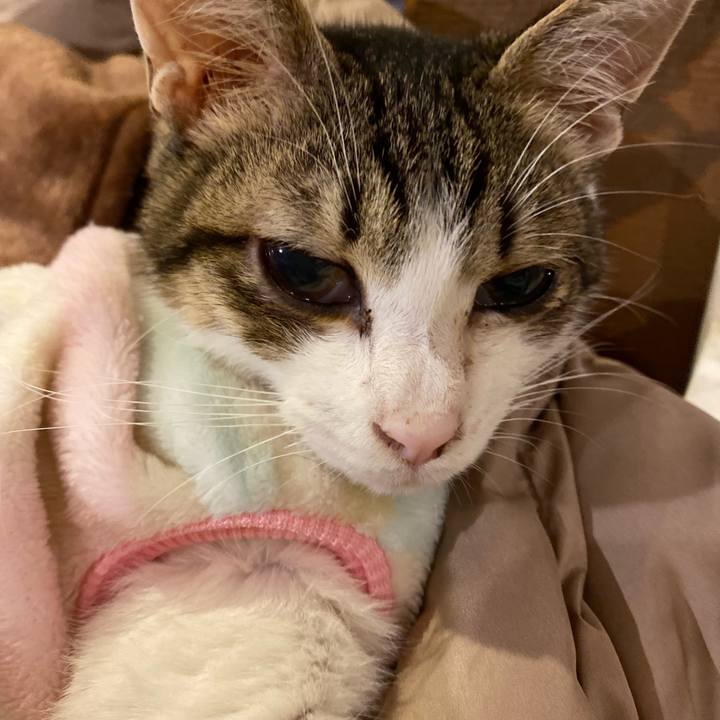 D7d2311e 517e 43e8 9f61 a969778b7e4c 1706957408580