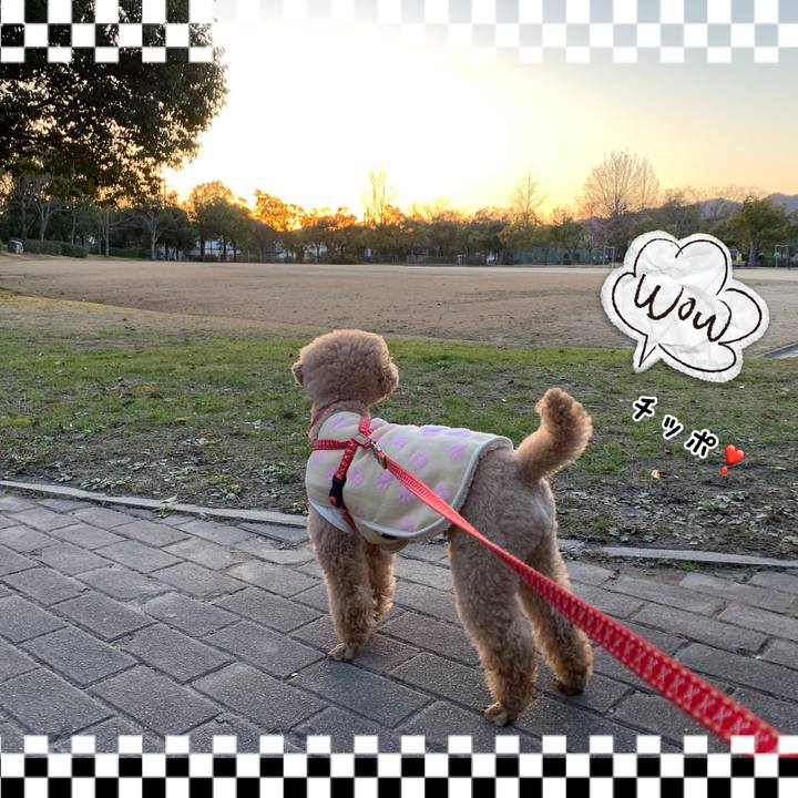 D7d23ecc 0f65 46dc add9 c964e03bee54 1546938030371