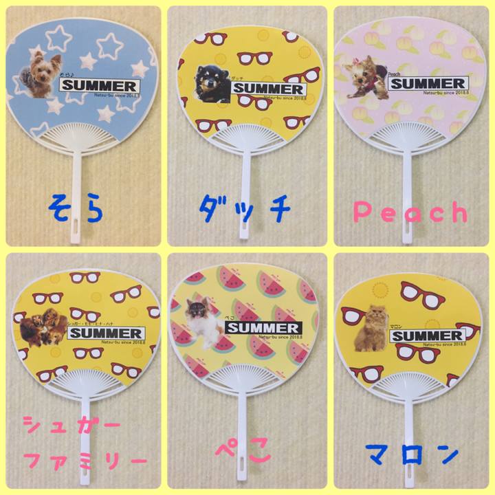 D7d251db 0973 43fd 9f96 60c92a7a05f6 1533299072277