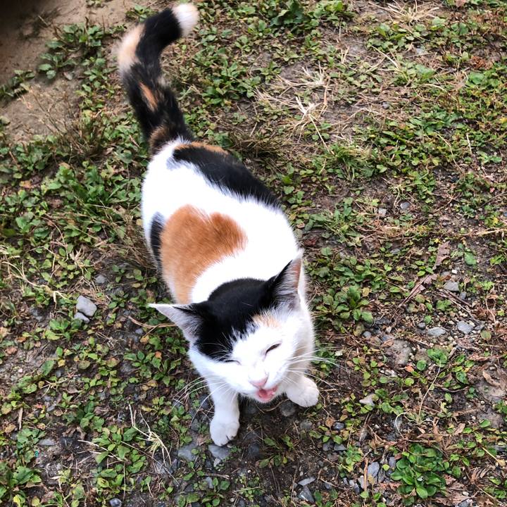 D7d25b73 77c4 4feb af4f 1657f48fa6cd 1605478700078