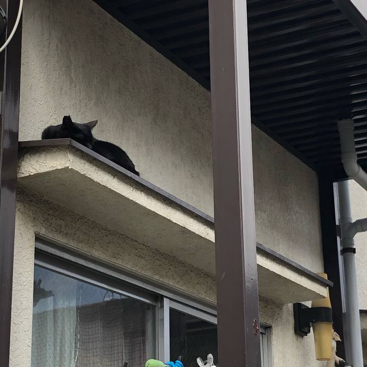 D7d25f75 95aa 4115 8c8e c182c586ad24 1554929160475