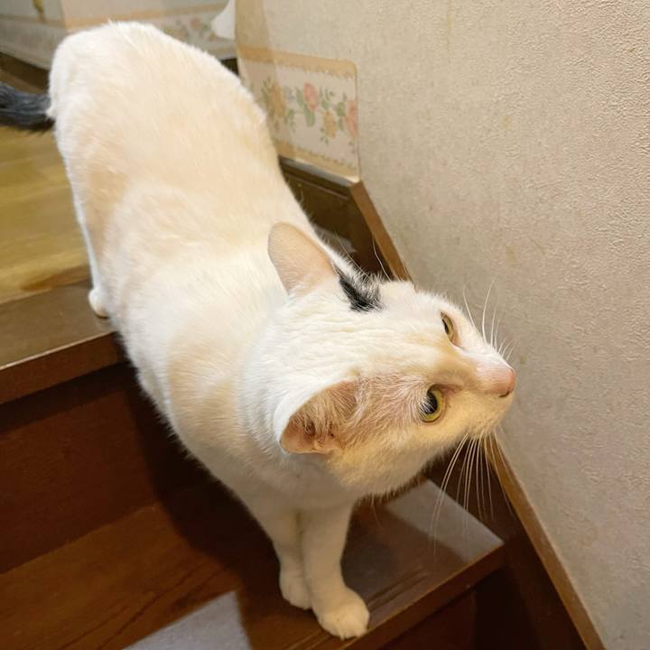 D7d2612f e19a 40cd 8a46 7151ae272d57 1771666376288