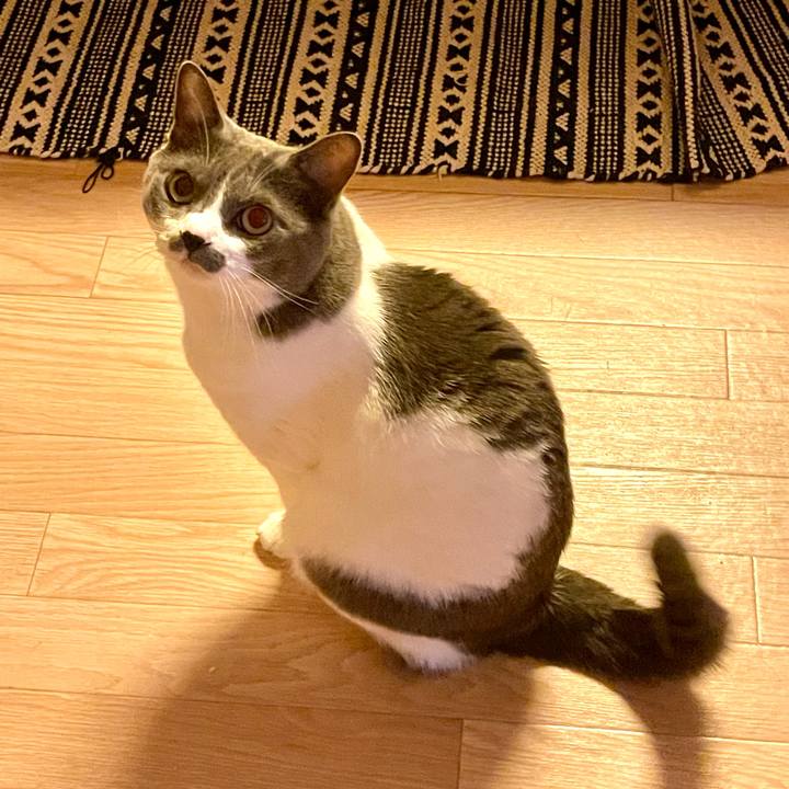 D7d2adc7 b2e2 4dd8 8649 814094ded4fe 1659603376237