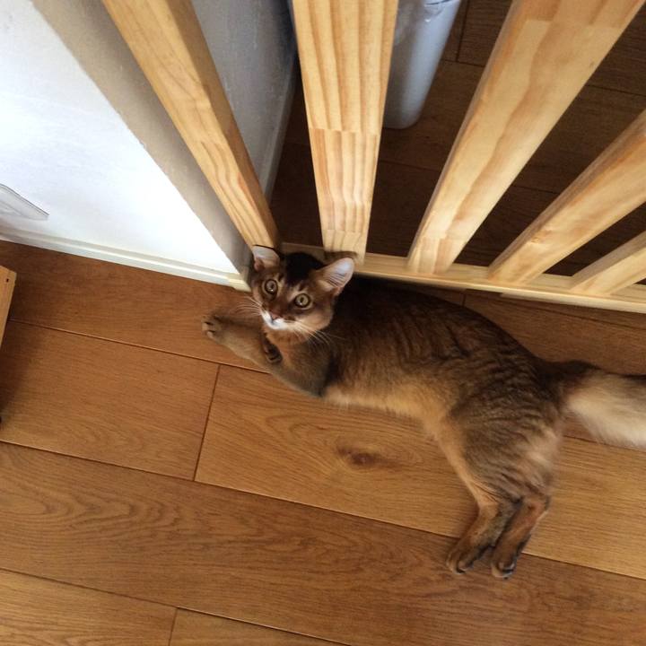 D7d2be5c 1aac 43fb b027 cc1b76513560 1564795298096