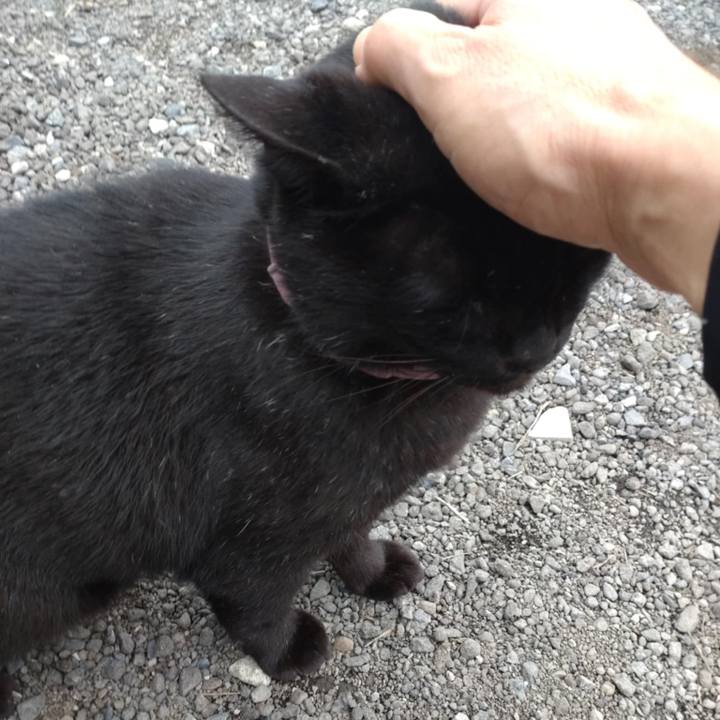 D7d2db0c e493 4a5c 8ded 517aeba0a12b 1730857354957