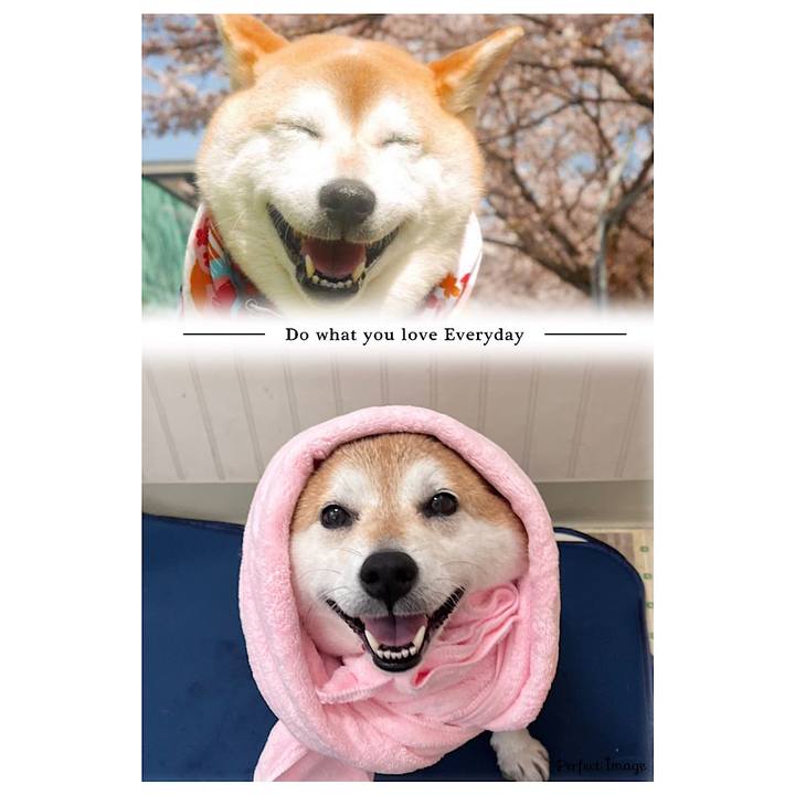 D7d2db80 ef91 40d5 93c2 13a47c68fee7 1685176865338