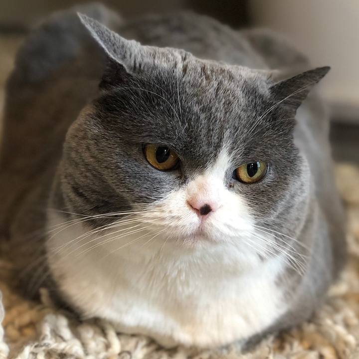 D7d2f342 e6c1 4712 821c 1a7282cbbc37 1513772817330