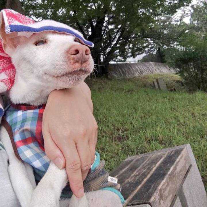 D7d2f3f7 f0f9 49db 9d11 21f5d13675e1 1596156014938