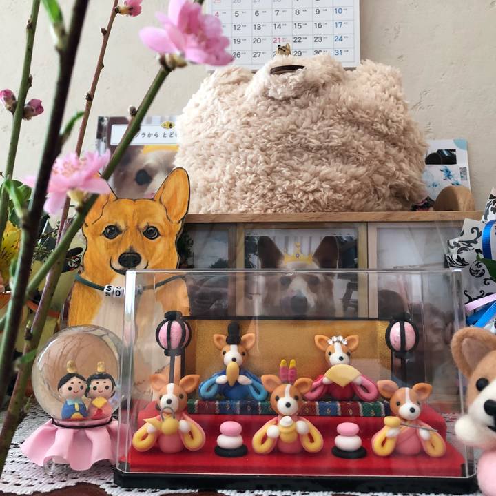 D7d2fc29 b414 40eb b3ba a57bb1d01a68 1520039579204