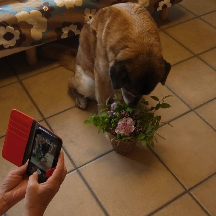 D7d30153 b3cc 4004 aa5a f150d642cda7 1606782862320