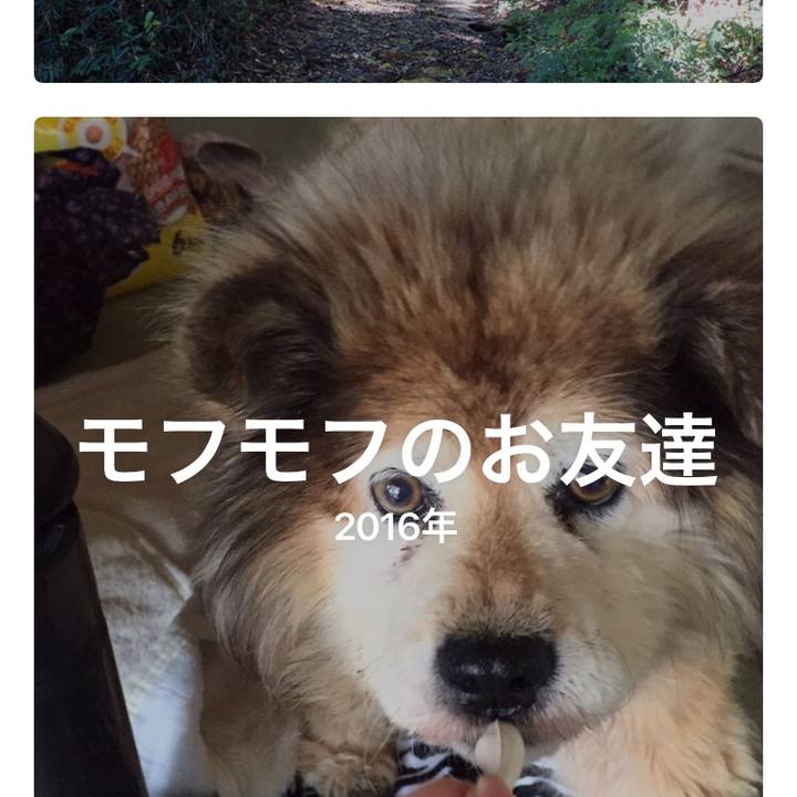 D7d30d5b f601 41ba 951a 7dadef5aa5ac 1553937469430