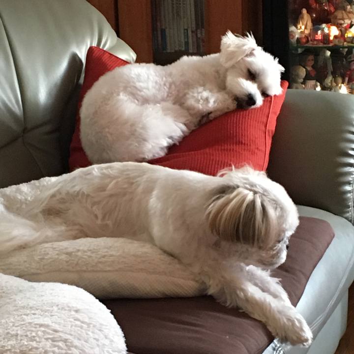 D7d31e63 7ead 47b2 b176 d1d8371263e0 1601882669204