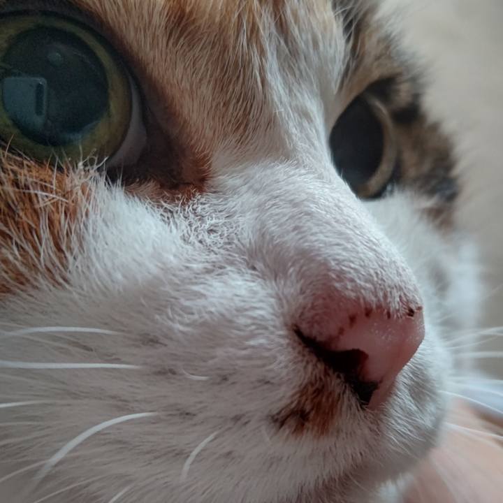 D7d32aa7 6bf4 4f61 884a 44ae22705675 1629602580883