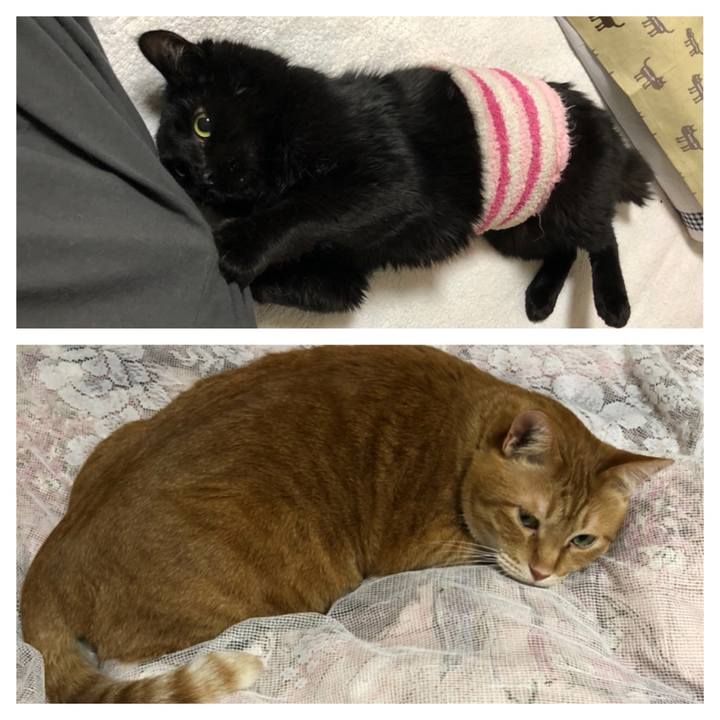 D7d34ec5 9c2f 4638 a894 7ef13c6f3438 1611159059203