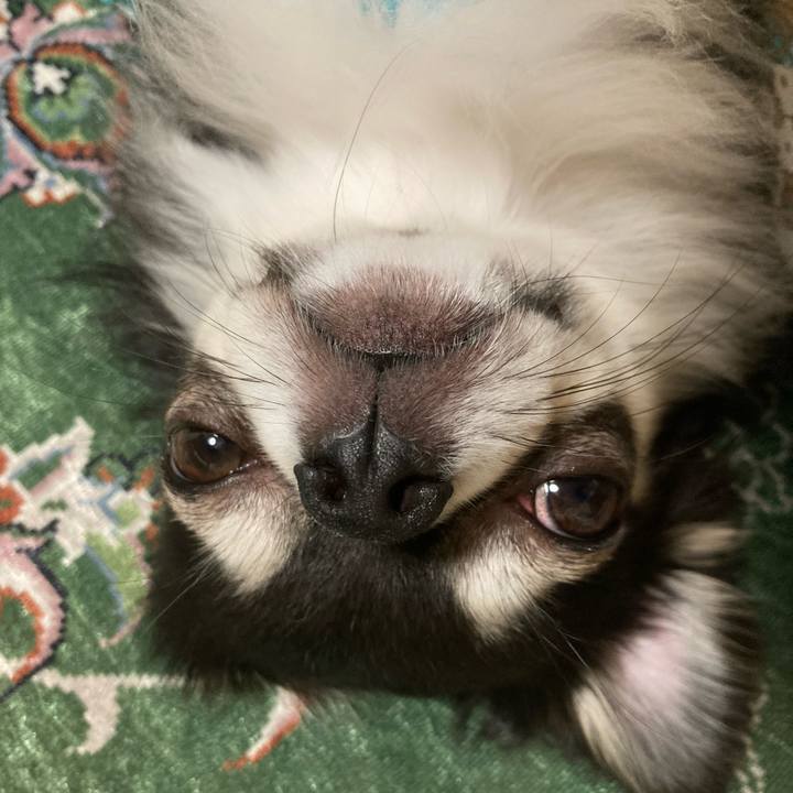 D7d36c1e 0b87 4ba4 b2e4 e38f3affab1e 1654961097947