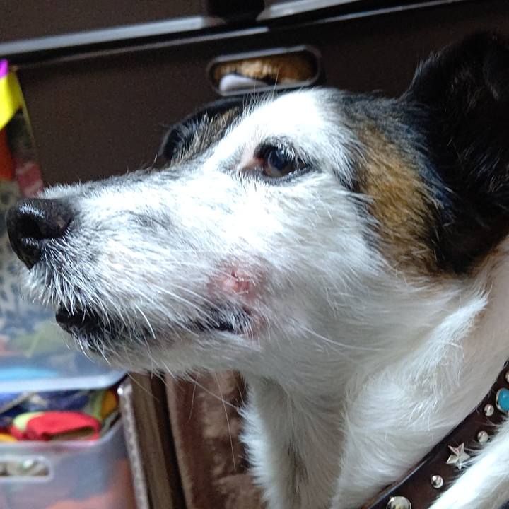 D7d3b3c8 7240 4240 9d22 fc8e64dafffc 1670673951930