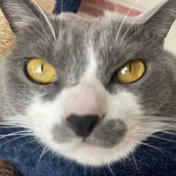 D7d3c47d 550d 4534 8084 ba9558e4924a 1668741425176